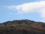 michel 037